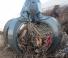 Prilozi Grabilice za sortiranje rušenja Kinshofer P51VHD-1000-5T