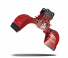 Promove SG 5.8