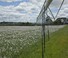 Tehnologija navodnjavanja Grane za prskanje Bauer Irrigation Centerstar 203E