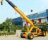 Industrijske pokretne dizalice Escorts Hydra 1242