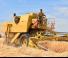 New Holland 1545