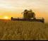 Kombajni Fendt 5275 C Rice