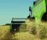 Fendt 6275 L-MCS