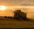 Kombajni Fendt 6275 L MCS Rice