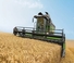 Kombajni Fendt 6335 C-PLI 