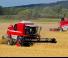 Massey Ferguson Activa 7245
