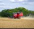 Kombajni Massey Ferguson Activa 7342