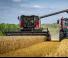Kombajni Massey Ferguson Activa 7344-MCS