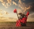 Kombajni Case IH Austoft 9900