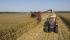 Kombajni Case IH Axial Flow 7088