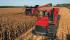 Kombajni Case IH Axial Flow 9120