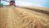 Kombajni Case IH Axial Flow 9120