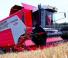Massey Ferguson Cereon 7278 AL