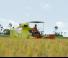 Kombajni Claas Crop Tiger 30 Terra Trac