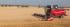 Kombajni Massey Ferguson Delta 9380 AL
