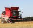 Massey Ferguson Fortia 9530