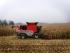 Kombajni Massey Ferguson Fortia 9795