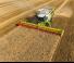 Kombajni Claas Lexion 770 TerraTrac