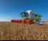 Kombajni Claas Lexion 770 TerraTrac