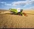 Kombajni Claas Lexion 780 TerraTrac