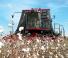Kombajni Case IH Module Express 635