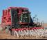 Kombajni Case IH Module Express 635