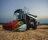 Claas Trion 640 Trend