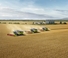 Claas Trion 650 TerraTrac   