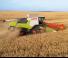 Kombajni Claas Trion 750 Terra Trac   