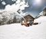 4WD traktori Steyr 4130 Expert CVT 