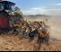 Kultivatori Agrisem Smartplow mounted 3,50