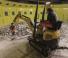 Mini bageri Wacker Neuson 803