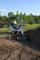 Mini bageri Bobcat E 14