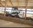 Mini utovarivači Bobcat S590