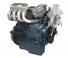 Motori Kubota WG1605-GLN-E3