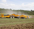 Pločasto-cinčana drljača Agrisem Disc-O-Mulch Gold 10.00 