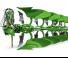 Plugovi Amazone Cayros XMS 3-950