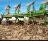 Plugovi Amazone Cayros XMS 5-850