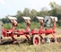 Plugovi Unia Ibis L H 4+