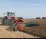 Plugovi Kverneland LB 85/300