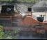 Eagle Crusher 3242 Eagle