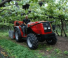 Massey Ferguson MF 3325 S (A)