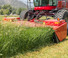 Prednje montirane kosilice - disk s kondicionerom Massey Ferguson 9313 D