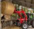 Massey Ferguson FL 3114X