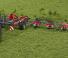 Rotacioni prevrtači Massey Ferguson TD1028X TRC