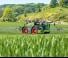 Samohodne poljske prskalice Fendt Rogator 665 
