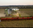Priključci za kombajne Strojevi za rezanje kombajna Claas ConVio Flex 1380