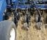 New Holland P2080 - 30 ft
