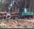 Timberjack 1110 D