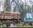 Timberjack 1110